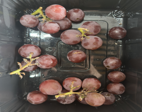 鸣杰HRCP葡萄保鲜测试