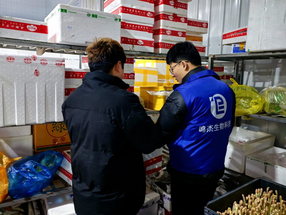 红星全球农批中心调研