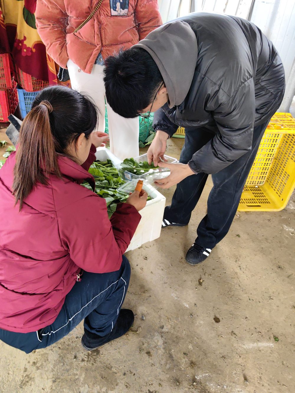 浏阳基地调研采样