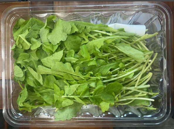 叶面喷施HRCP保鲜剂对萝卜菜保鲜效果的影响实验