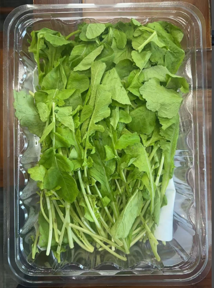 叶面喷施HRCP保鲜剂对萝卜菜保鲜效果A组