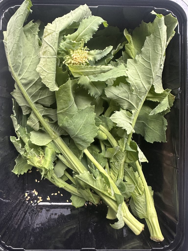 第十天室温使用保鲜盒体