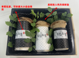 方法一