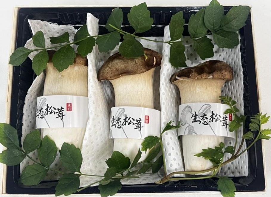 鸣杰生物：菇类蔬菜保鲜垫应用方法及示意图解